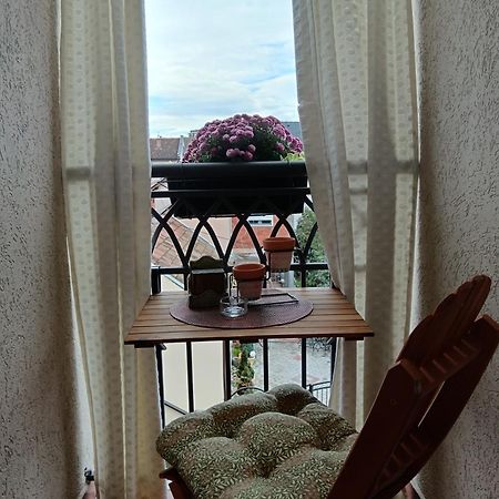 Kruševac Apartman Element מראה חיצוני תמונה