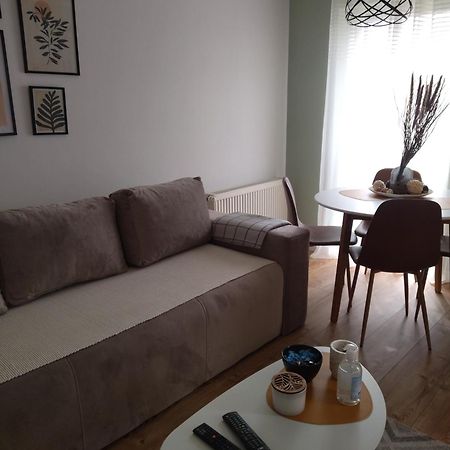 Kruševac Apartman Element מראה חיצוני תמונה