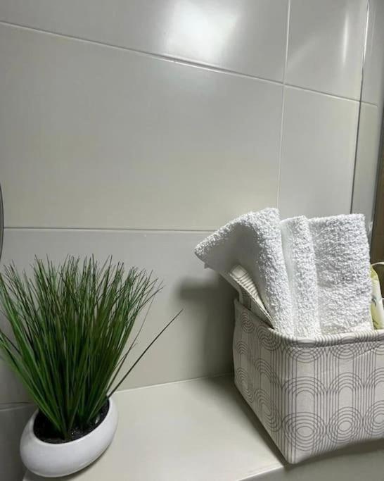 Kruševac Apartman Element מראה חיצוני תמונה
