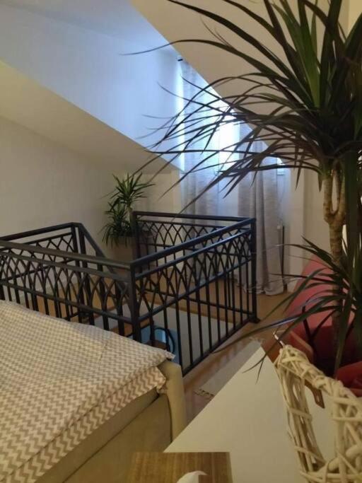 Kruševac Apartman Element מראה חיצוני תמונה